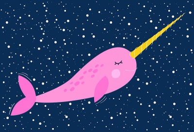 Narwhal