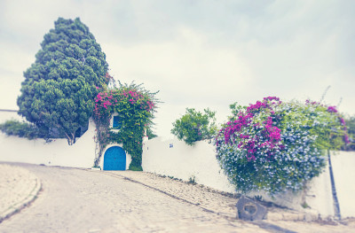 Sidi Bou Said，突尼斯