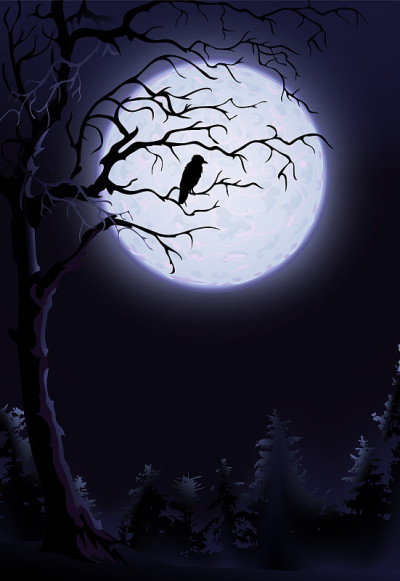 树上的夜鸦