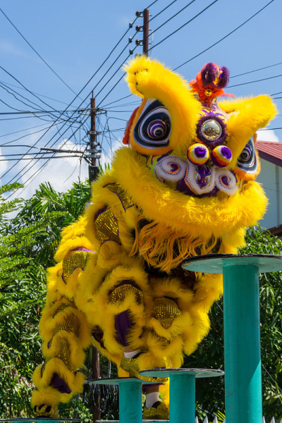 在中国新年的节日里舞狮