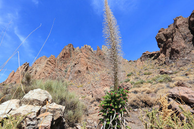 Tenerife