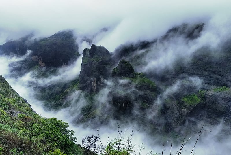 在马哈拉施特拉邦塔姆希尼高特(Tamhini Ghat)的视角，季风季节有绿色植物和云的悬崖。季风季