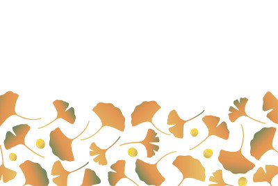 Ginkgo leaves illustration on white background