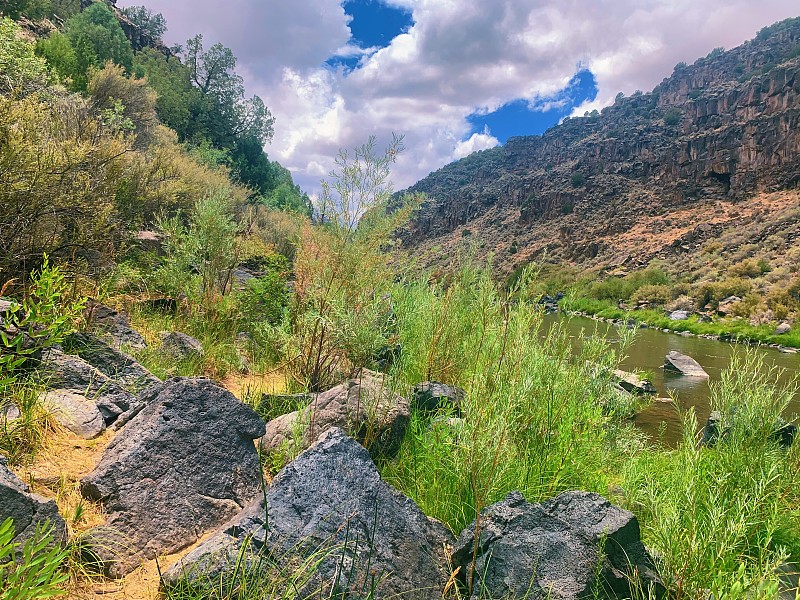 沙漠景观与鲜花，山脉和河流