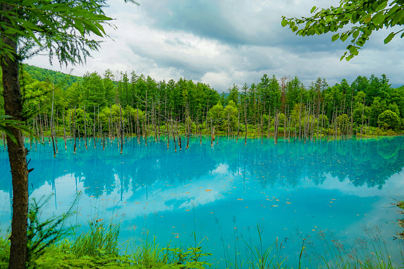 铂蓝池(北海道碧草)