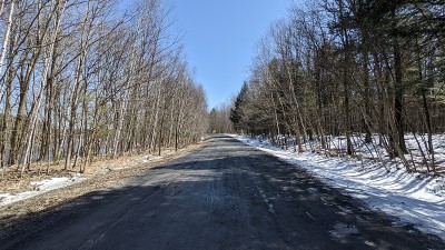在乡间小路上(ph4)
