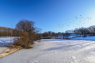 奥斯陆冬季景观Vigeland雕塑公园有雪和干树