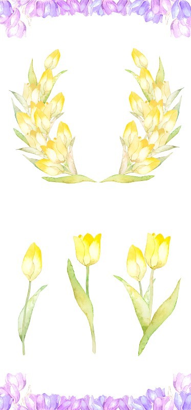 郁金香水彩框架