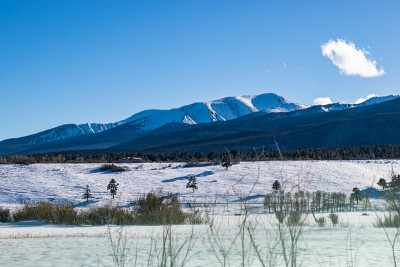 基督山的雪血