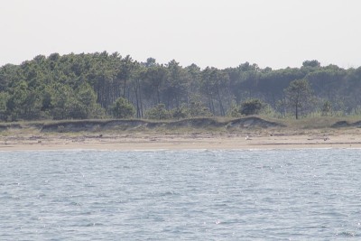 海滩