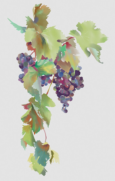 Watercolor我