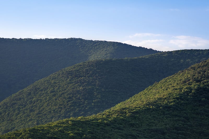 清晨。蓝天下，青山绿树成行。