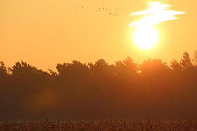 太阳照亮了云