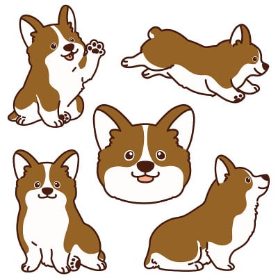 概述棕色柯基插图集