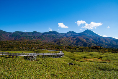 知子五湖和知子山秋叶高架木道，知子，北海道