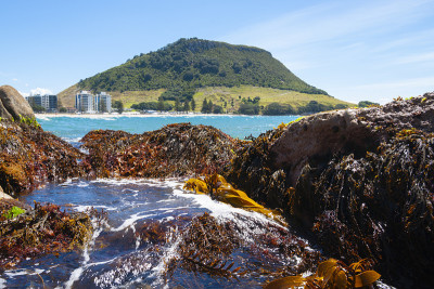 在岩石前海岸之外的地平线上的地标芒格努伊山