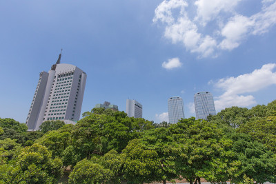 高楼林立，绿意盎然的公园