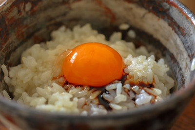 鸡蛋在米饭上
