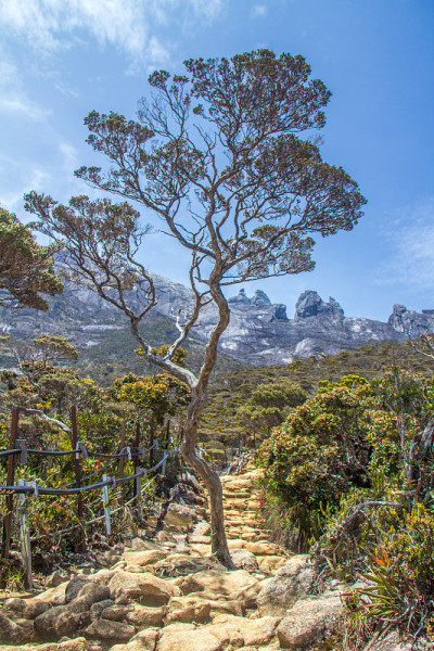 基纳巴卢山长途跋涉