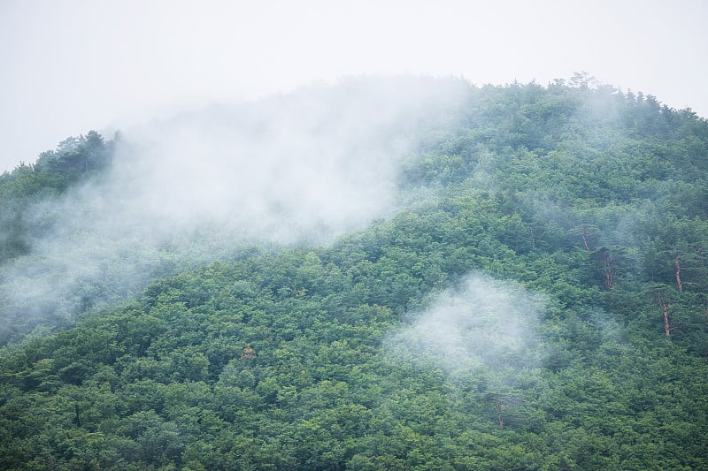 那座被晨雾环绕的山