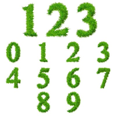 绿草字体集孤立上白