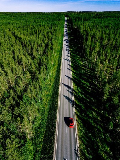 鸟瞰图的乡村道路与红色的汽车在绿色的夏季森林