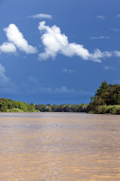 Kinabatangan River