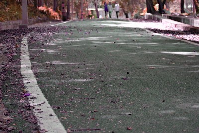 路