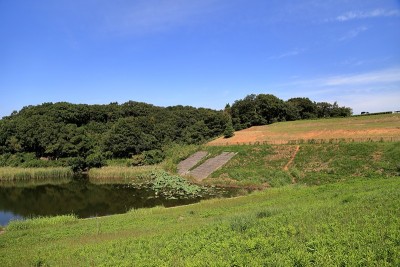 湖