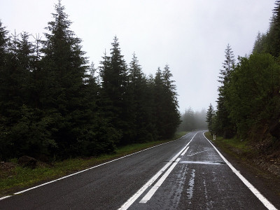 山路在阴雨霏霏的夏日里产生了一种神秘而迷人的风景。