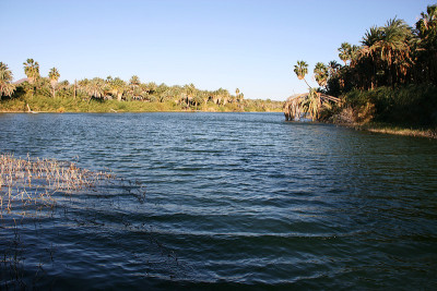 Laguna (lagoon) de San Ignacio, San Ignacio, Baja 