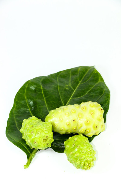 好极了，莫琳达，特写