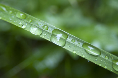 雨滴