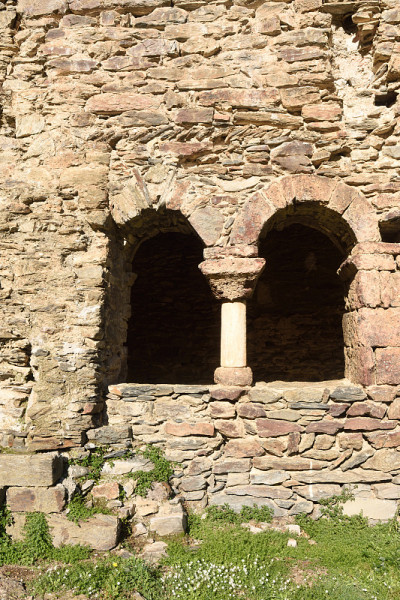 Colera,