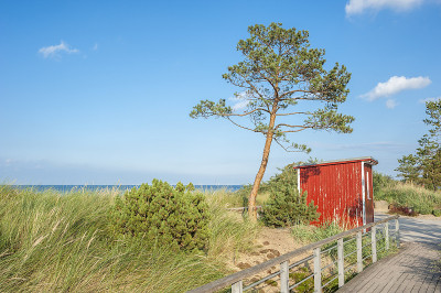景观Niendorf