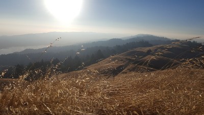 塔玛派斯山,加州