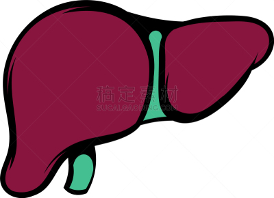 肝脏,计算机图标,卡通,分离着色,生物学,活力,健康保健,红色,生病