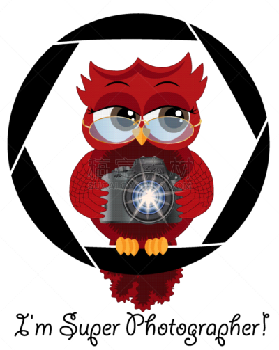 自然美,红色,相机,猫头鹰,卡通,可爱的,商务,洞,鸟类,坐