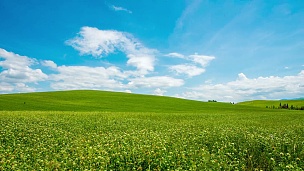 T/L 8K美丽绿色草地上的云景