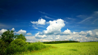 夏季景观