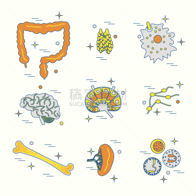 图标集,生物学,健康保健,红色,人,白细胞,淋巴系统,矢量,生病