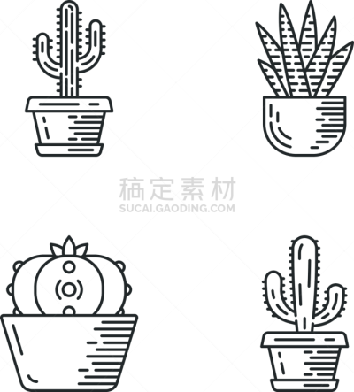 仙人掌,房屋,锅,计算机图标,直的,斑马,背景分离,热带气候,墨西哥,细的