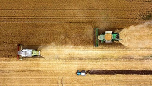 两台不同的联合收割机和拖拉机一起收割麦田。