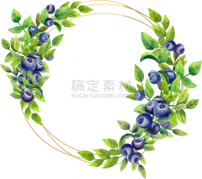 蓝莓,白色,熟的,边框,浪漫,华丽的,食品,甜点心,装饰物,复古