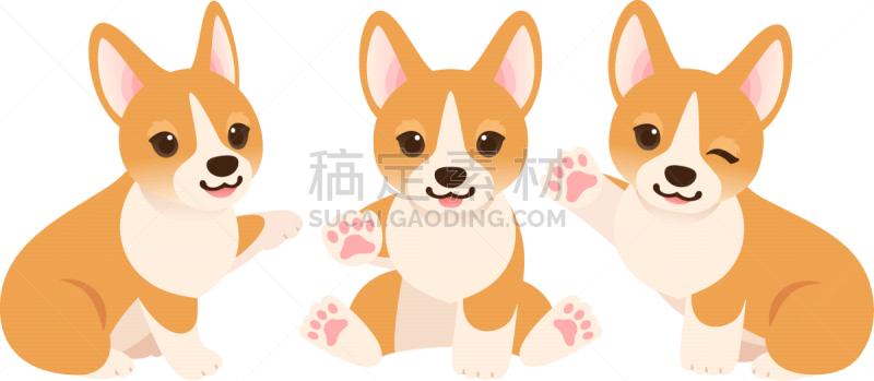 小狗,绘画插图,威尔士柯基犬,三只动物,提举,背景分离,彭布罗克郡,肖像,简单,狗