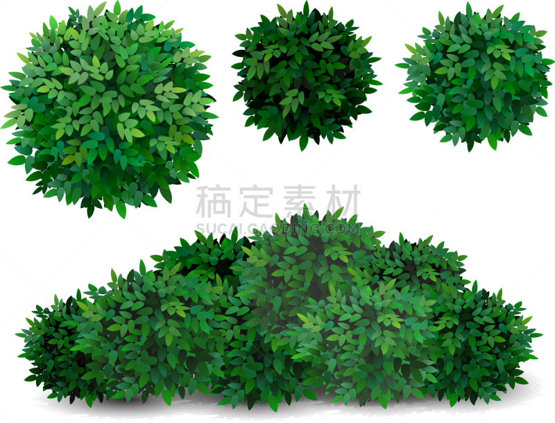 王冠,灌木,景观设计,环境,树木造型,植物群,公园,草,自然美,树