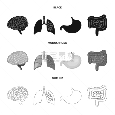 生物学,科学,分离着色,标志,人造物,酸,健康保健,植物群,空肠,思考