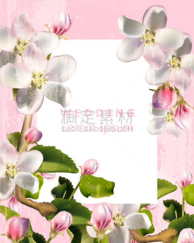自然美,樱桃,贺卡,季节,夏天,圆形,白色,粉色,复古,花