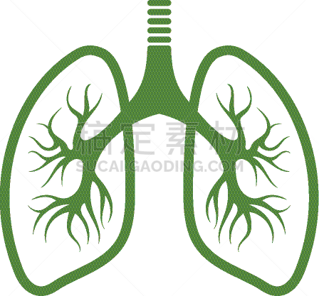 图标,人类肺脏,生物学,创造力,分离着色,呼吸运动,商务,健康保健,人