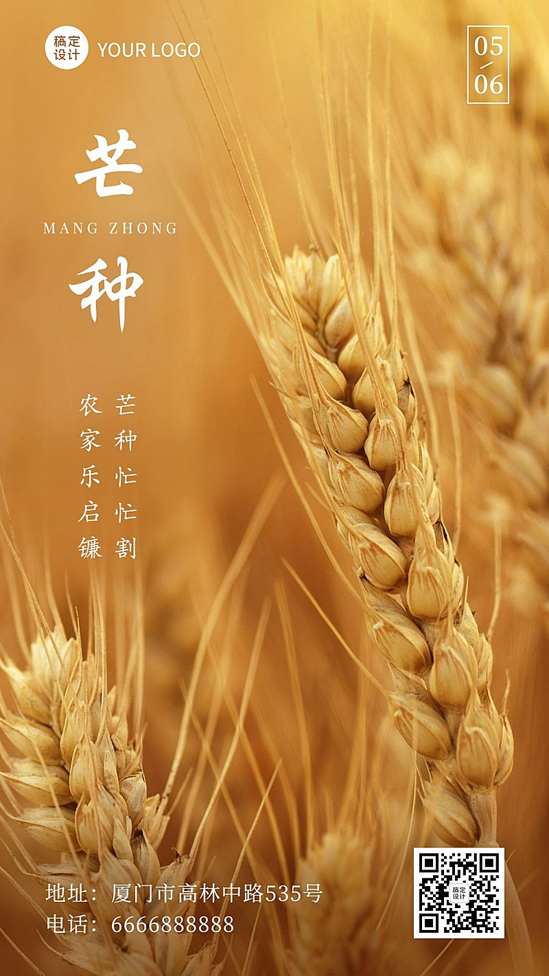 芒种节气祝福稻穗实景手机海报
